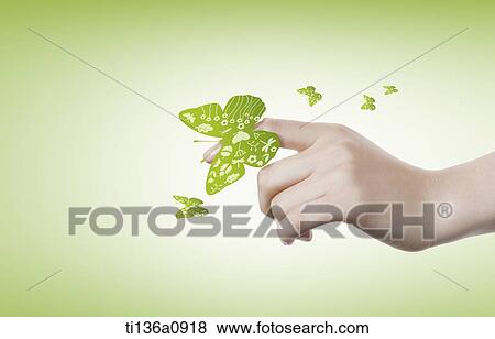 illustrated butterflies next to a hand View Large Photo Image Stock Photo - illustrated butterflies next to a hand. Fotosearch