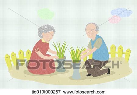 illustration of an old couple planting View Large Photo Image Stock Photo - illustration of an old couple planting. Fotosearch