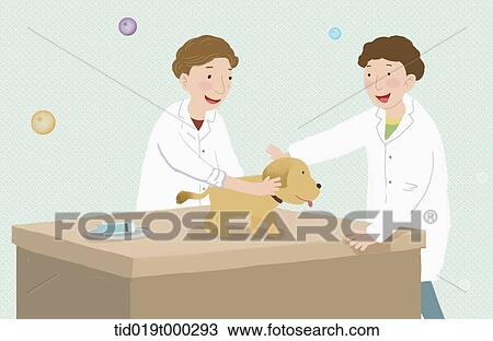 illustration of vets with a dog View Large Photo Image Stock Image - illustration of vets with a dog. Fotosearch