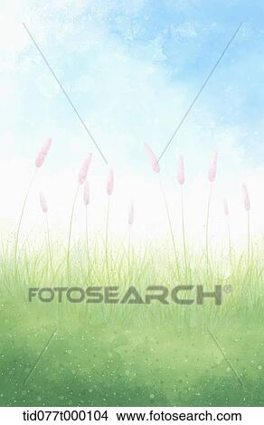 Picture - illustration scenery of summer field . Fotosearch