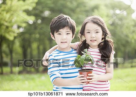 kids holding a plant View Large Photo Image Stock Image - kids holding a plant. Fotosearch