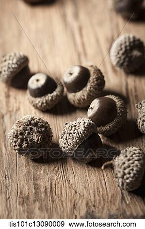 oak nuts on wood surface View Large Photo Image Stock Photo - oak nuts on wood surface. Fotosearch
