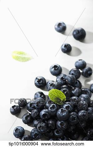 pile of blue berries View Large Photo Image Picture - pile of blue berries. Fotosearch