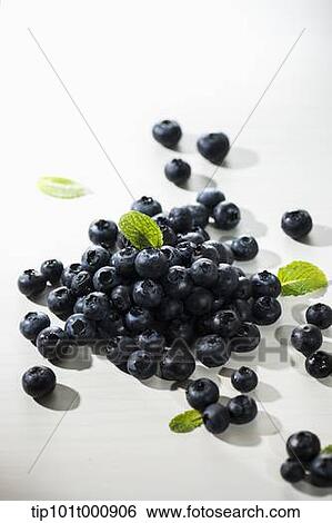 pile of blue berries View Large Photo Image Stock Photograph - pile of blue berries. Fotosearch