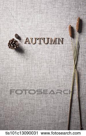 pine cones and a word autumn View Large Photo Image Stock Image - pine cones and a word autumn. Fotosearch