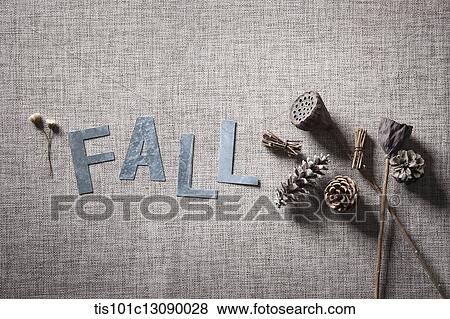 pine cones and a word fall View Large Photo Image Stock Photo - pine cones and a word fall. Fotosearch