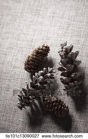 Stock Photo - pine cones on brown background. Fotosearch