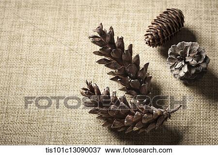 pine cones on brown background View Large Photo Image Stock Photo - pine cones on brown background. Fotosearch