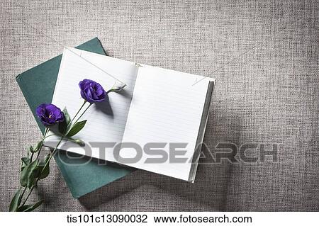 purple flower on top of an open book View Large Photo Image Stock Image - purple flower on top of an open book . Fotosearch
