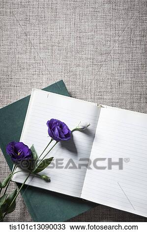 purple flower on top of an open book View Large Photo Image Stock Image - purple flower on top of an open book . Fotosearch