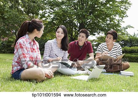 Picture - students sitting on grass studying with laptop together. Fotosearch
