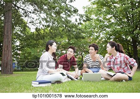 Stock Photo - students sitting on grass studying with laptop together. Fotosearch