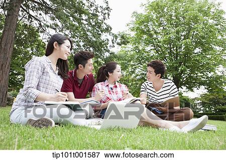 Stock Photo - students sitting on grass studying with laptop together. Fotosearch