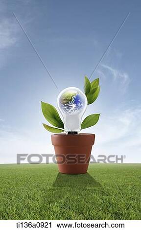 the globe growing with a plant View Large Photo Image Stock Image - the globe growing with a plant. Fotosearch