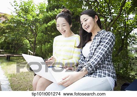 university students studying together while sitting on a bench in the campus View Large Photo Image Picture - university students studying together while sitting on a bench in the campus. Fotosearch