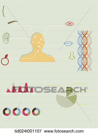 Stock Illustration - illustration info graphics of face. Fotosearch