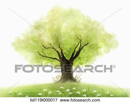 illustration of a tree on field View Large Illustration Stock Illustration - illustration of a tree on field. Fotosearch