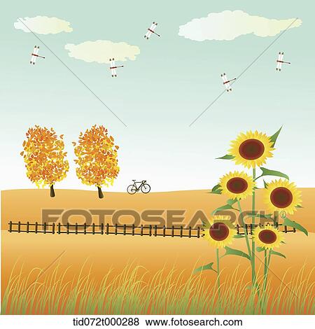 illustration of an autumn field with trees and sunflowers View Large Illustration Stock Illustration - illustration of an autumn field with trees and sunflowers. Fotosearch