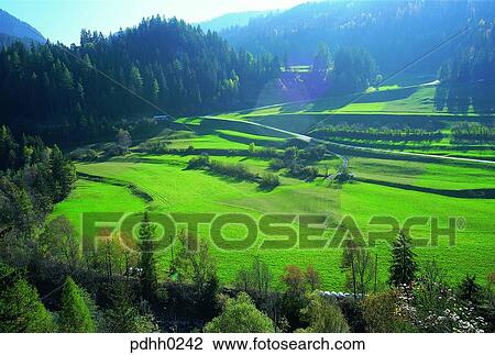 country, landscape, scenery, farm, tree, Swiss, Europe View Large Photo Image Stock Image - country, landscape, scenery, farm, tree, Swiss, Europe. Fotosearch