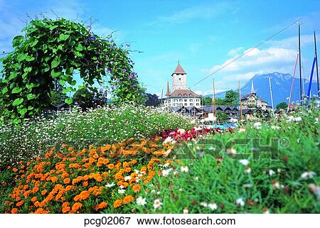Europescenery, flower, Europe, Western Europe, scenery, house, scenery View Large Photo Image Stock Photo - Europescenery, flower, Europe, Western Europe, scenery, house, scenery. Fotosearch