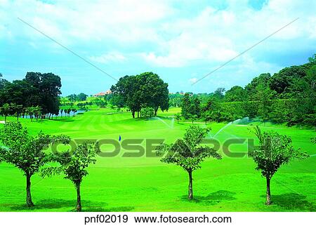 field, golf, flag, tree, hole, outside View Large Photo Image Stock Photo - field, golf, flag, tree, hole, outside. Fotosearch