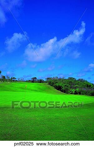 field, golf, hole, flag, lawn, outside View Large Photo Image Stock Photography - field, golf, hole, flag, lawn, outside. Fotosearch