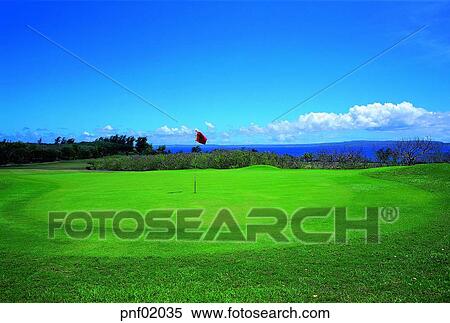 field, lawn, outside, flag, holenoon View Large Photo Image Stock Photography - field, lawn, outside, flag, holenoon. Fotosearch