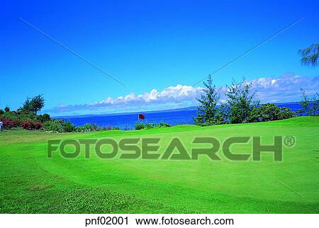 golf, field, lawn, flag, sea, outside, noon View Large Photo Image Stock Image - golf, field, lawn, flag, sea, outside, noon. Fotosearch