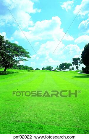 golf, sky, cloud, tree, lawn, grass View Large Photo Image Stock Image - golf, sky, cloud, tree, lawn, grass. Fotosearch