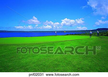golf, sports, leisure, sea, field, lawn, hole View Large Photo Image Stock Image - golf, sports, leisure, sea, field, lawn, hole. Fotosearch