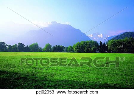 grass, mountain, tree, outside, noon, landscape, scenery View Large Photo Image Stock Image - grass, mountain, tree, outside, noon, landscape, scenery. Fotosearch