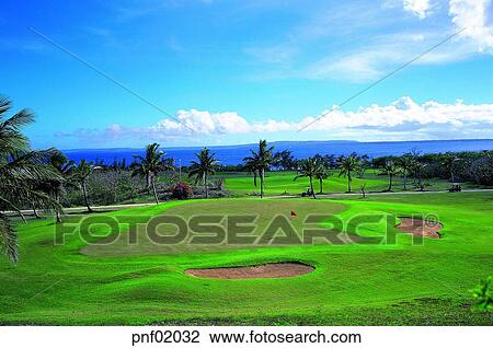 lawn, tree, field, sea, person, outside View Large Photo Image Stock Image - lawn, tree, field, sea, person, outside. Fotosearch