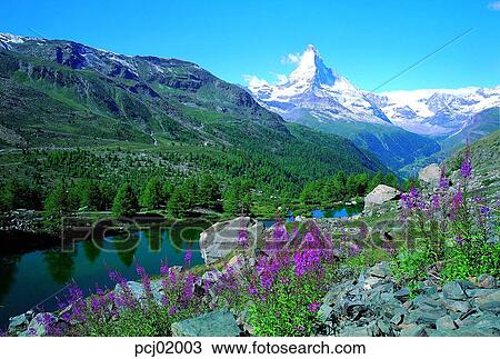 mountain, flower, landscape, lake, tree, river View Large Photo Image Stock Image - mountain, flower, landscape, lake, tree, river. Fotosearch