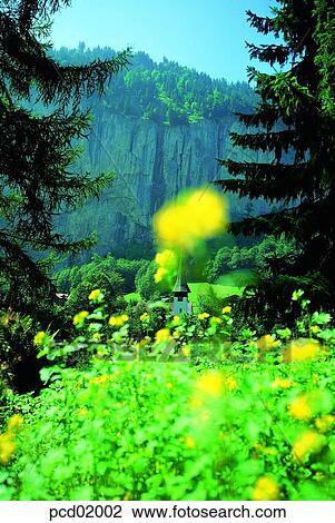 mountain, forest, flower, yellow, building, rockmountain, landscape View Large Photo Image Stock Image - mountain, forest, flower, yellow, building, rockmountain, landscape. Fotosearch