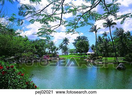 pond, gardening, tree, outside, noon View Large Photo Image Stock Image - pond, gardening, tree, outside, noon. Fotosearch