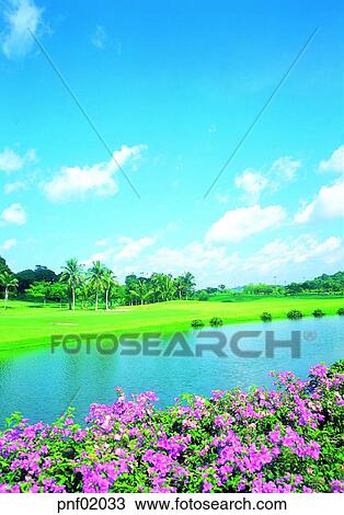pond, lake, tree, field, flower, outside, noon View Large Photo Image Stock Image - pond, lake, tree, field, flower, outside, noon. Fotosearch