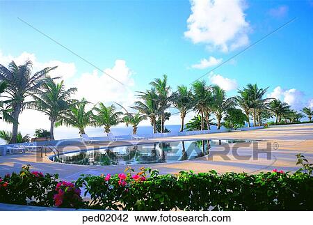 pool, resort, hotelresort, suntanningchair, tree, tropics climate, tropics View Large Photo Image Stock Image - pool, resort, hotelresort, suntanningchair, tree, tropics climate, tropics. Fotosearch