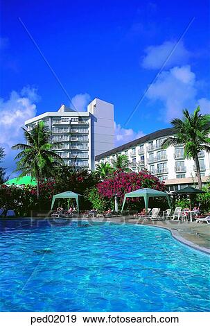 resort, hotel, hotelresort, pool, swimming, tropics climate, tree View Large Photo Image Stock Photo - resort, hotel, hotelresort, pool, swimming, tropics climate, tree. Fotosearch