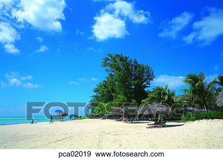 resort, parasol, sun tanning chair, trip, sky, sand, person View Large Photo Image Stock Photo - resort, parasol, sun tanning chair, trip, sky, sand, person. Fotosearch