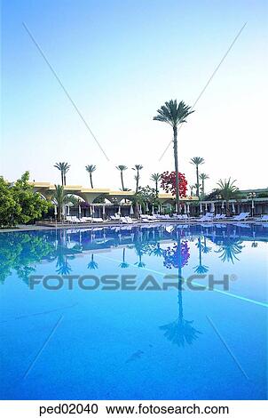 resort, pool, hotel, condominium, hotelresort, tree, suntanningchair View Large Photo Image Stock Image - resort, pool, hotel, condominium, hotelresort, tree, suntanningchair. Fotosearch