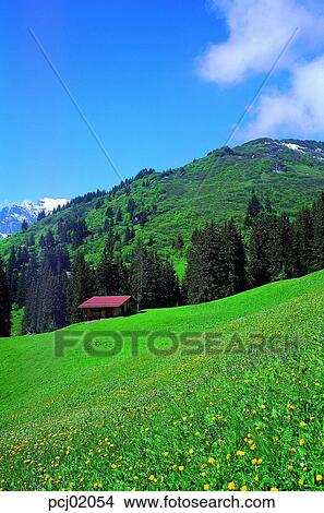 scenery, mountain, house, flower, grass, landscape View Large Photo Image Picture - scenery, mountain, house, flower, grass, landscape. Fotosearch