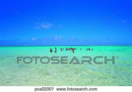 sea, swimming, tropicssea, resort, summer, vacation, person View Large Photo Image Stock Photo - sea, swimming, tropicssea, resort, summer, vacation, person. Fotosearch