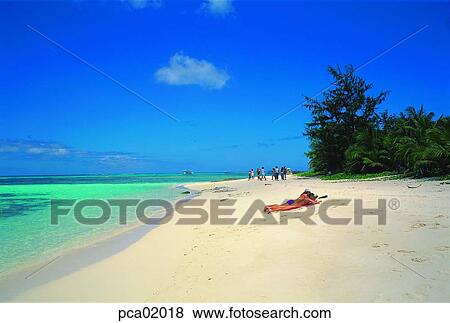 seaside, sand, sun tanning, tropics, tropics climate, person, Caucasian View Large Photo Image Stock Photo - seaside, sand, sun tanning, tropics, tropics climate, person, Caucasian. Fotosearch