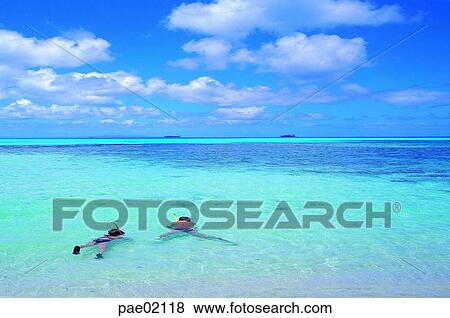 snorkeling, sea, sky, cloud, nature, scenery, sports View Large Photo Image Stock Photo - snorkeling, sea, sky, cloud, nature, scenery, sports. Fotosearch
