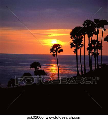 sunrise, sunset, nature, scenery, tree, tree, sea View Large Photo Image Stock Image - sunrise, sunset, nature, scenery, tree, tree, sea. Fotosearch