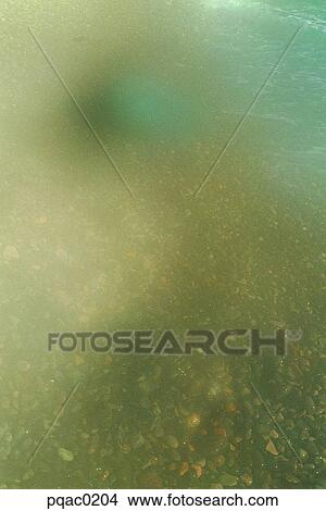 background, Nature View Large Photo Image Picture - background, Nature. Fotosearch