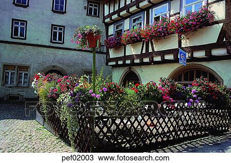 cafe, flower, pot, flowerdecoration, decoration, decoration, window View Large Photo Image Stock Image - cafe, flower, pot, flowerdecoration, decoration, decoration, window. Fotosearch