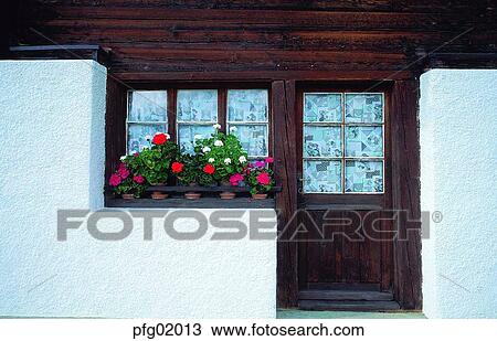 Stock Image - door, house, pension, pot, window, flowerdecoration, flower. Fotosearch