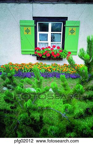 gardening, house, flowerdecoration, flower, decoration, decoration, building View Large Photo Image Stock Image - gardening, house, flowerdecoration, flower, decoration, decoration, building. Fotosearch