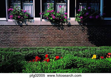 gardening, house, flowerdecoration, flower, decoration, decoration, building View Large Photo Image Stock Photography - gardening, house, flowerdecoration, flower, decoration, decoration, building. Fotosearch